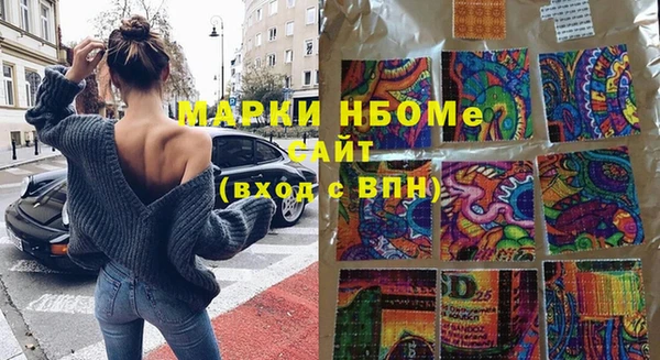 СК Алексин