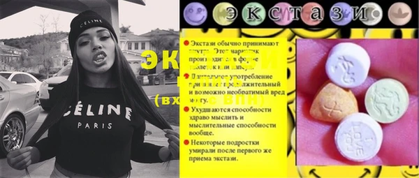 СК Алексин